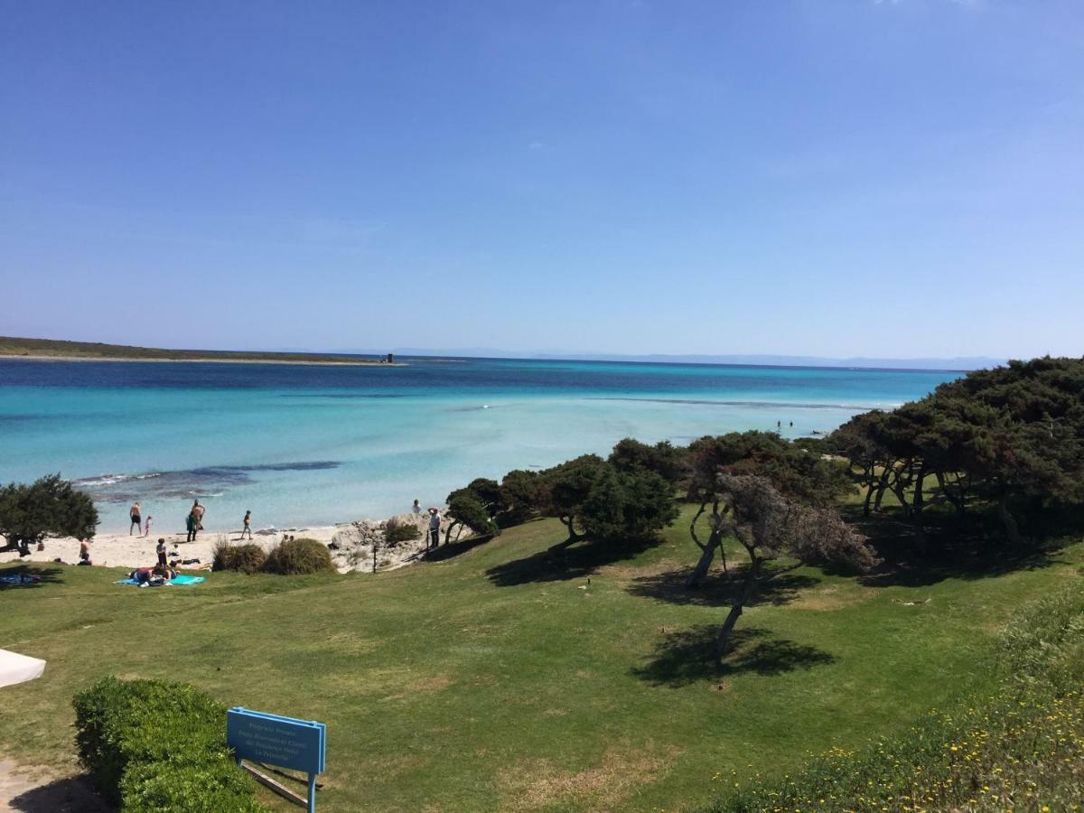 Splendido Ultimo Piano Vista Mare Lido Hébergement de vacances Alghero
